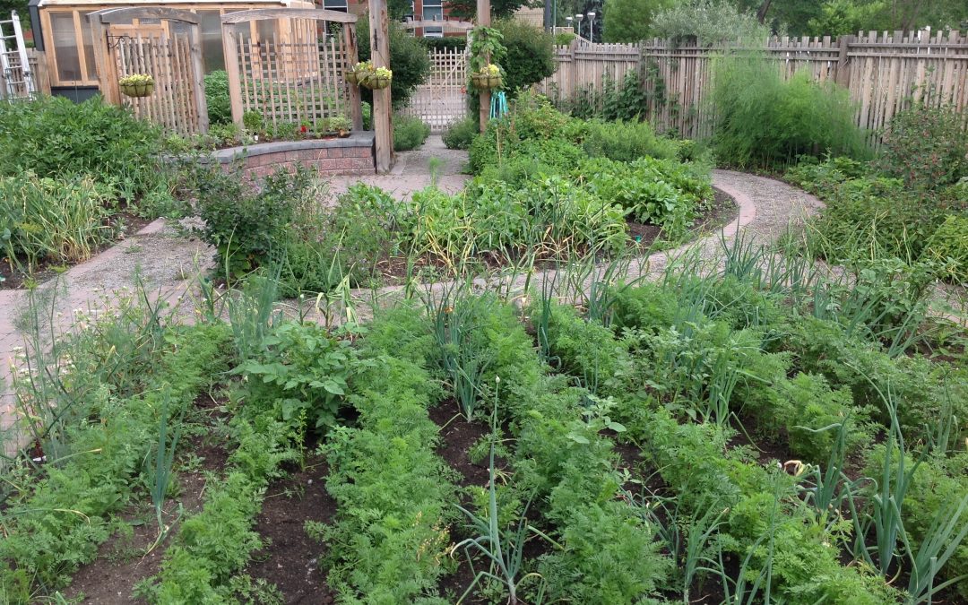 A Chef Chats About Gardening