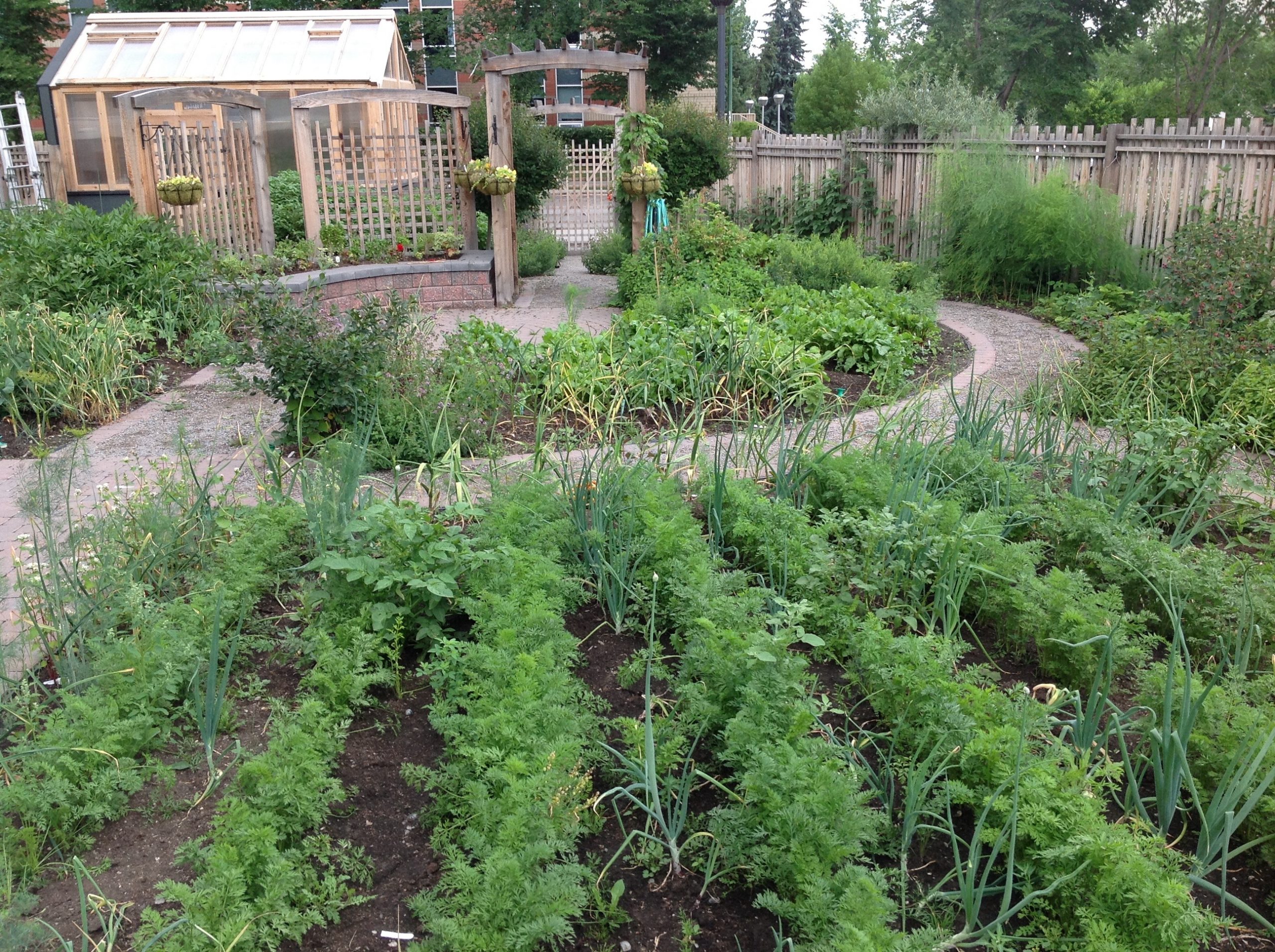 The culinary garden at SAIT