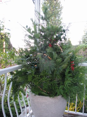 Make a Simple Christmas Planter on Porch
