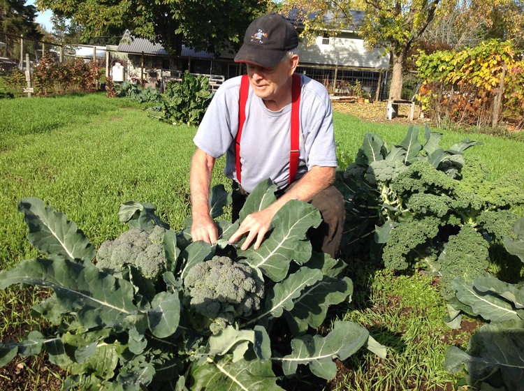 BARRY’S FATAL MISTAKE WITH COMPOST