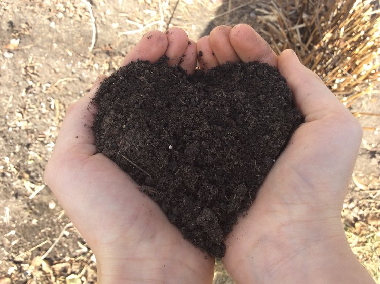 love soil