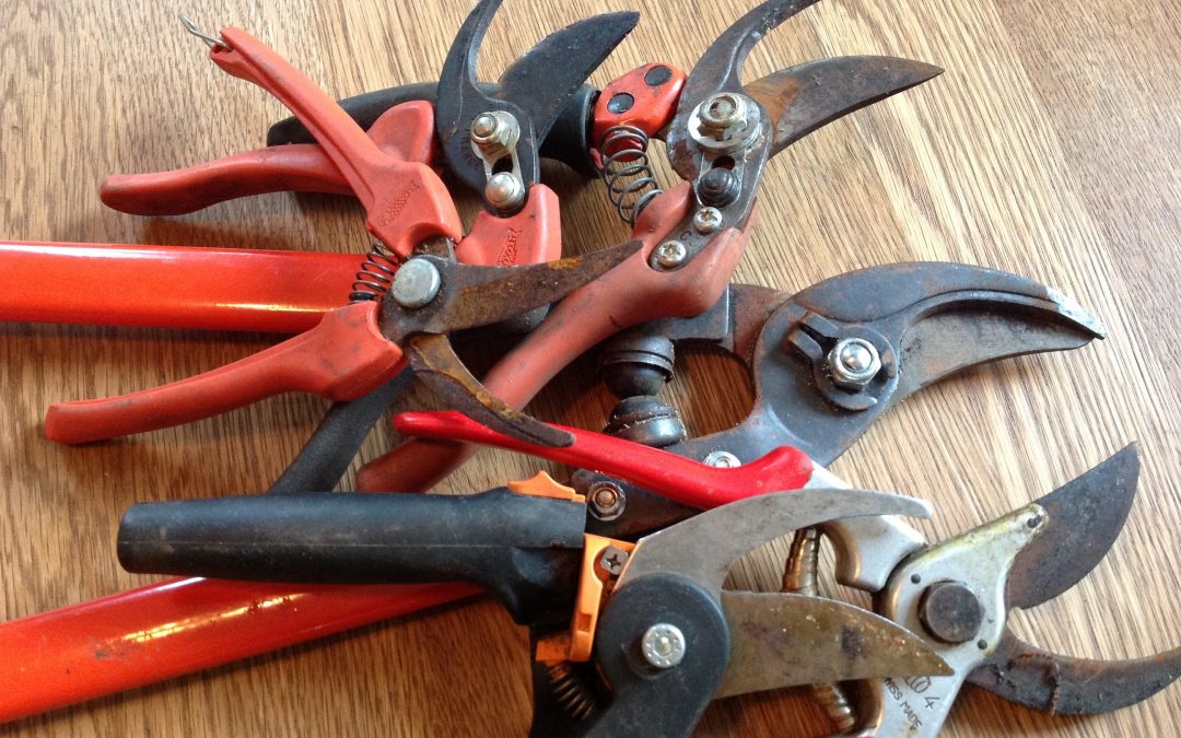 Do You Need To Clean and Sharpen Your Garden Shears?