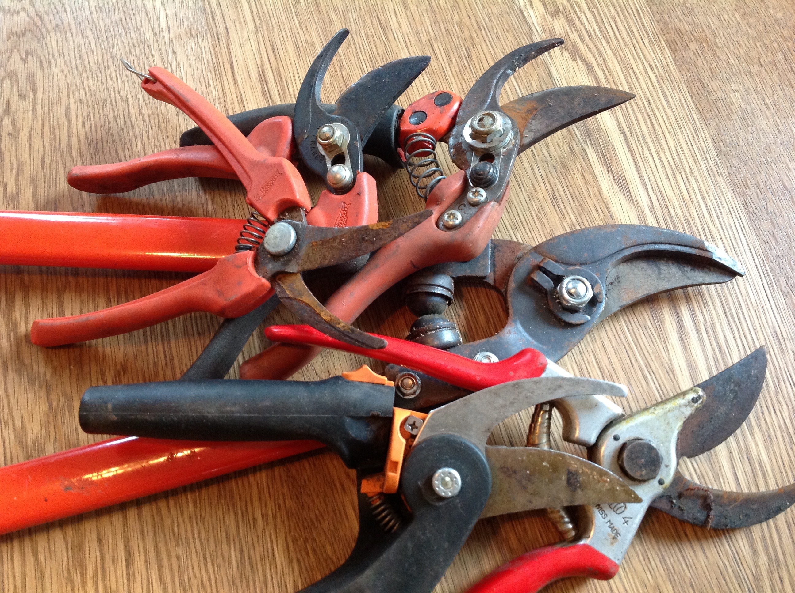 Do You Need To Clean And Sharpen Your Garden Shears Donna Balzer