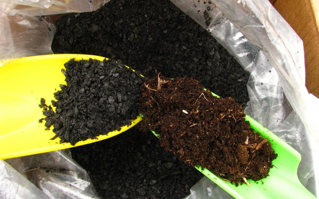 Using Biochar in Your Greenhouse, houseplants & outdoors