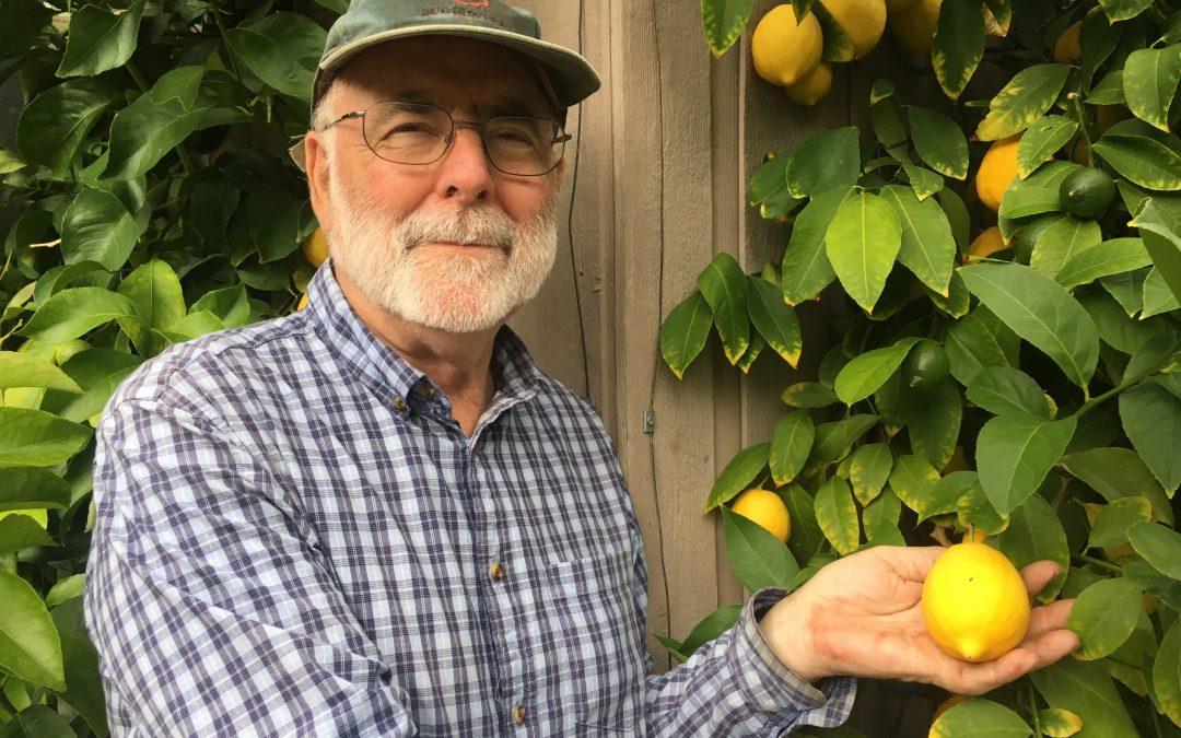 Growing Lemons and Limes and Possibly even Oranges in Canada