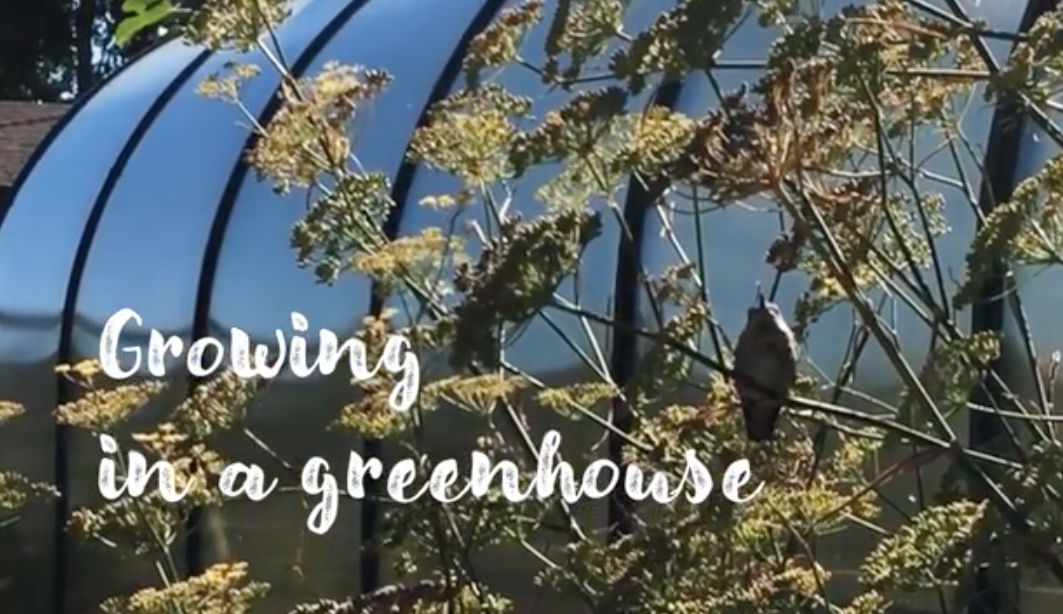 Watch: A Greenhouse is a Dreamhouse