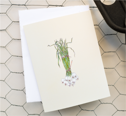 Donna Balzer Spring Onions Greeting Card
