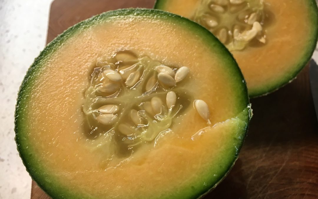 How to Grow and Harvest Cantaloupes