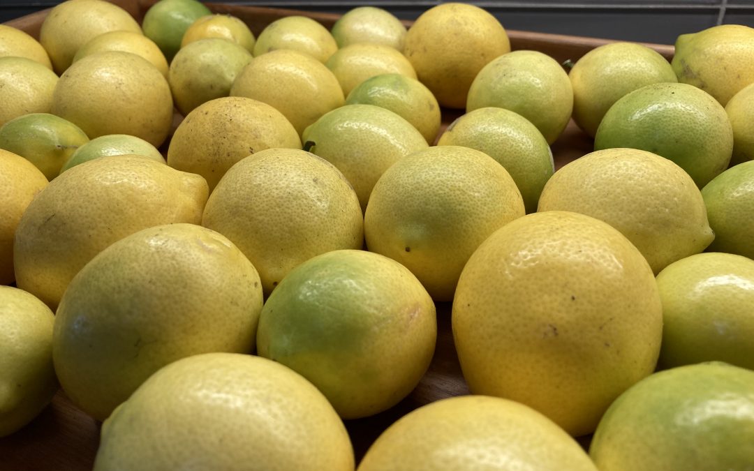 Lemons: Fresh From the tree in Canada!