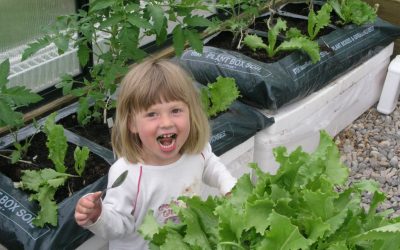 Do You Really Need a Greenhouse? You Probably Don’t Need it, But I Do