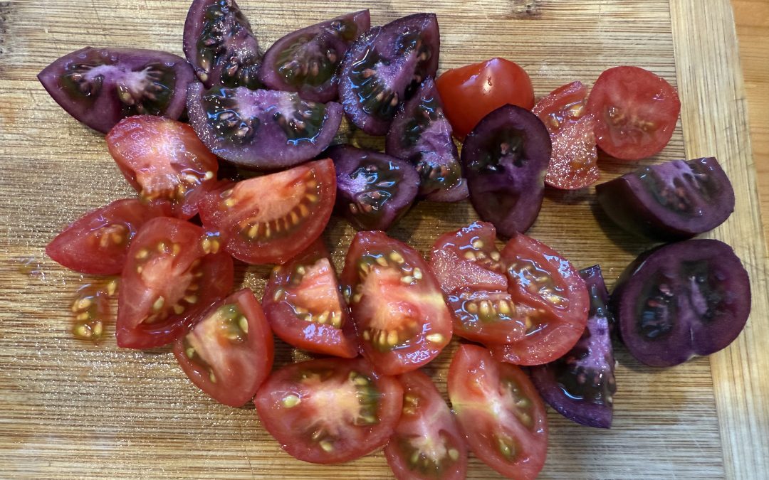 Garden Season Wrap-Up : Tomatoes, Lemons and  Black Sesame in my garden in Calgary